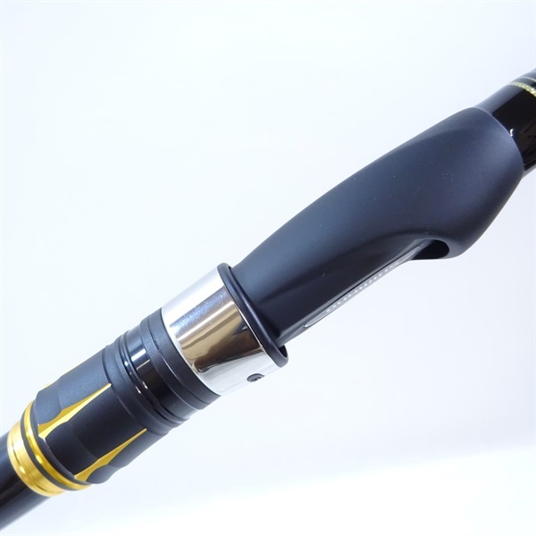 ２１アオリスタ５００